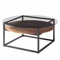 Mesa de Centro de Vidrio para Sala de Estar, Muebles Modernos de Lujo, Simplicidad, Mesa de Té Negra, Minimalismo Italiano, Duradera y Fácil de Limpiar