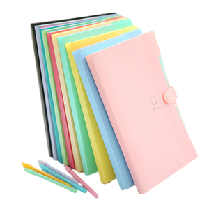 Tài Liệu Organizer Danh Mục Đầu Tư Thư Mục Pocket Nhựa Thư Mục Biểu Tượng Tùy Chỉnh Xách Tay A4 Giấy Mở Rộng Tập Tin Thư Mục - Product Image 4