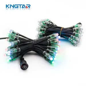 Full Color Smart DC5v 12mm IP68 Bullet Pixel Led