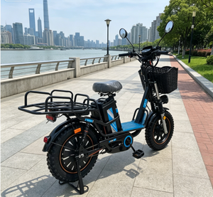 Bicicleta Eléctrica Todoterreno con Llantas Anchas, 800W 48V, Capaz de Transportar Carga, Venta Directa de Fábrica - Product Image 1