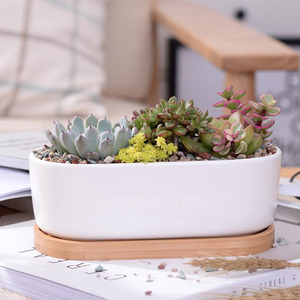 Grande jardinière <span class=keywords><strong>rectangulaire</strong></span> en céramique blanche avec <span class=keywords><strong>bac</strong></span> d'égouttement amovible - Product Image 5