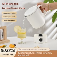 Bouilloire électrique pliable portable en acier inoxydable pour voyage, isolation thermique, protection contre la cuisson à sec, capacité 1L, puissance 600W
