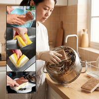 Éponges de cuisine naturelles, éponge à vaisselle à base de plantes, biodégradable, compostable, tampon à récurer multi-usages, en pâte de bois