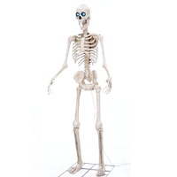 Décoration de jardin extérieure : squelette géant d'Halloween effrayant et sinistre de 2,4 m avec yeux projecteurs