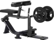Appareil de fitness commercial pour soulevé de mollets – Cible les muscles : Gastrocnémis, Soleus