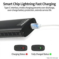 Lámpara UV NDT de Alta Resistencia de 4000 mAh y 365 nm, Linterna de Detección de Fugas de Doble Núcleo, Linterna de Inspección Ultravioleta de Grado Industrial Tipo C