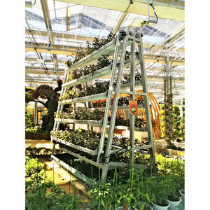 <span class=keywords><strong>Perfiles</strong></span> de Extrusión de Aluminio Anodizado 6063 en Forma de T <span class=keywords><strong>para</strong></span> Estanterías de Plantas, con Servicios de Doblado, Corte y Soldadura - Product Image 1