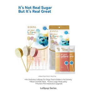 FDA CFIA OEM 도매 맞춤형 고단백 애완 동물 공급 업체 간식 다양한 맛 동결 말린 롤리팝 개 간식 선물 취급 - Product Image 5