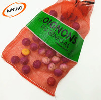 Fabrieksgecertificeerde 50x80cm PP Leno Mesh zakken, UV-gestabiliseerd, met aangepast logo, voor het opbergen van 25kg en 50kg groenten en brandhout.