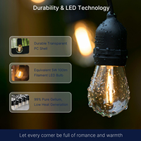 Ampoules LED à filament S14 étanches pour extérieur, 120V, équivalent 5 watts, 1W, 50lm, 2200K, culot E26, pour guirlandes lumineuses de jardin et de terrasse