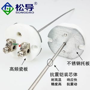 Núcleo de Detector de Temperatura Blindado WZPK-010, Sensor de Temperatura de Resistencia PT100, Resistencia Ensamblada - Product Image 2