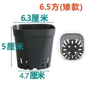 Black <b>Square</b> Seedling Pots 5.5 Cm With Drainage Holes For Nursery Planting - Product Image 3