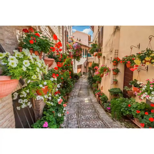 Fond <span class=keywords><strong>de</strong></span> <span class=keywords><strong>photographie</strong></span> antique européen : Allée, village, couloir fleuri, <span class=keywords><strong>maison</strong></span>, voyage, portrait, toile <span class=keywords><strong>de</strong></span> fond pour photocall - Product Image 3