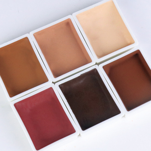Palette de peinture corporelle activée à l'alcool, 6 couleurs, tons chair, pour tatouage temporaire et <span class=keywords><strong>maquillage</strong></span> corporel - Product Image 6