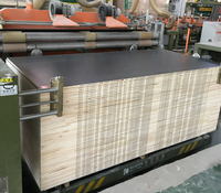Tablero de Melamina con Núcleo de Madera de Paulownia, Pino y Álamo, en Negro y Blanco, de 12mm, 16mm, 18mm y 24mm, para Muebles, Venta al Por Mayor