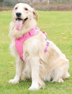 <span class=keywords><strong>Harness</strong></span> Anjing Desain Ringan dan Bernapas, Tahan Lama, untuk Tarik, Dilengkapi Tali Anjing - Product Image 5