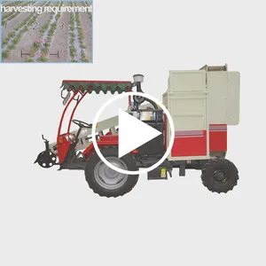 Çin kaliteli yer fıstığı fıstık hasat makinesi makinesi satılık en iyi fiyat ile satılık