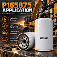 P165875 Elemen Filter Oli Hidrolik untuk Mesin Konstruksi dan Sistem Tenaga Fluida Industri