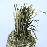 Fourrage Écologique en Balles de Foin de Thymothème – Friandise à Mâcher pour Cochons d'Inde, Lapins, Chinchillas – Sans Émiettement – Origine Fujian N039