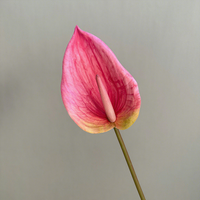 Plantes d'Anthurium en gros pour mariage, fleurs en latex Anthurium au toucher réel
