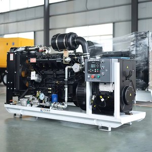 Equipo de Generación de Biogás, Generadores de Turbina de Gas Natural y GLP, Grupo Electrógeno de Gas Natural de 62.5 kVA 50 kW para el Hogar - Product Image 5