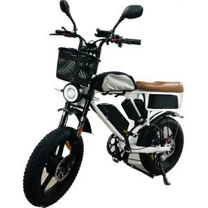 2023 Nieuwe 52V 2000W 44ah Dual Motor Dual Accu Elektrische Fiets Steekproof Fat Band Elektrische Fiets E Bike