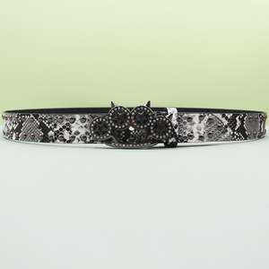Ceinture en cuir style hip-hop rock pour femmes Y2K, jean léopard avec strass, ceinture pour hommes, design western en denim avec rivets - Product Image 5