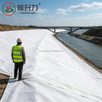 WSL Tissu géotextile flexible en filaments non tissés robustes pour la stabilisation des sols, idéal pour les barrages, les chutes d'eau et les travaux d'ingénierie anti-érosion des pentes