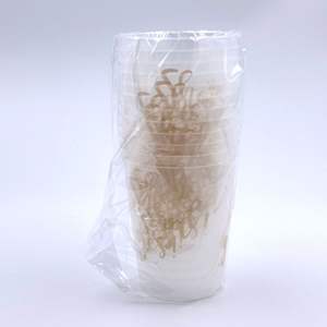 Gobelets de fête pour enterrement de vie de jeune fille, elle a dit oui, 16 oz, PP, écologiques, gobelets de stade avec logo personnalisé - Product Image 3