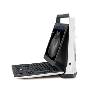 Appareil d'échographie portable Doppler couleur SonoScape E2V avec un transducteur pour clinique vétérinaire et hôpital - Product Image 2