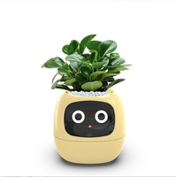 Pot de fleurs absorbant l'eau automatiquement Capteur IA Pot de fleurs numérique pour animaux de compagnie Mini pot de fleurs en plastique Bureau Intelligent Planteur intelligent