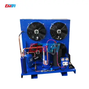 New Design Professional Low Noise Maintenance Dc 12V Condensing Unit