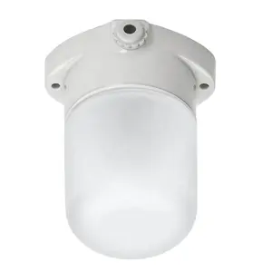 Waterproof Porcelain Sauna Lamp壁LightためSauna Room