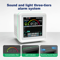 Moniteur de qualité de l'air intérieur, détecteur de radon, capteur à chambre d'ionisation pulsée, haute précision, 10 minutes pour les premiers résultats
