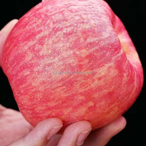 Manzanas Frescas <span class=keywords><strong>Gala</strong></span> Rojas de la Marca JUFU, Sabor Dulce, Calidad Premium Grado 1, 20 kg para su Salud - Product Image 6