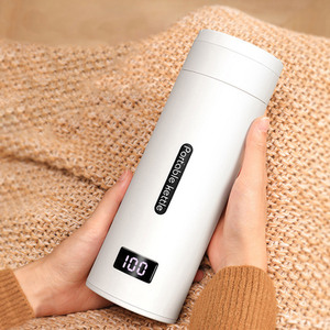 Portable Kettles Cup 500ml 220v <b>Tea</b> Coffee Kettle Travel Boil Water KeepWarm Kitchen Appliances <b>Thermo</b> Off Water Boiler Double - Product Image 2