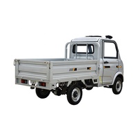 Camionnette électrique, nouvelle voiture de livraison électrique, mini véhicule utilitaire à basse vitesse à 4 roues pour adultes