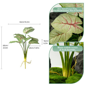 Plante artificielle miniature Caladium en pot, fausse Alocasia ornementale pour la décoration de tables d'hôtels et de cafés (vente en gros) - Product Image 2