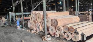 Meronesia plywoods 4x8แผงไม้ทนทานสำหรับเฟอร์นิเจอร์ก่อสร้างและโครงการออกแบบตกแต่งภายใน - Product Image 2