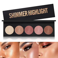 Palette de Maquillage Professionnelle Multi-Couleurs Effet Lumineux Métallique : Fard à Paupières et Contour – Vente Directe Usine