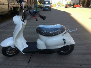 Mini Scooter Elettrico Stile Tartaruga King con Motore da 250W e Velocità Massima di 20km/h - Product Image 2