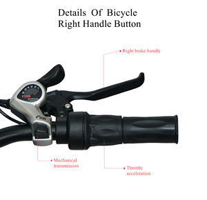 Vintage classic warehouse – vélo électrique de ville, eu uk 48v 1000w, pour femmes, panier de vélo électrique, cargo, ville, pour les déplacements - Product Image 6