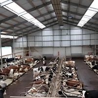 Structure en acier préfabriquée fournie par un fabricant chinois pour l'élevage de chèvres et de moutons, conception de hangar pour l'élevage d'animaux