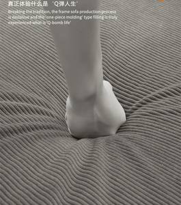 Ghế sofa giường đôi, ghế sofa giường có thể chuyển đổi, ghế sofa giường futon cho phòng khách - Product Image 5