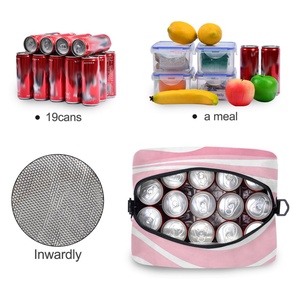 New Style Waterproof Portable Lunch Bag Customized Outdoor Camping Food Pockets Waterproof Cooler Bag - Product Image 4