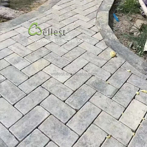 चीनी थोक सड़क honed हुई <span class=keywords><strong>bluestone</strong></span> ईंट पेवर्स - Product Image 6