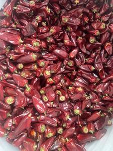<span class=keywords><strong>Piment</strong></span> Chili Entier Naturel Séché AD avec SHU Personnalisé, Sans Additifs et Emballage d'Exportation - Product Image 2