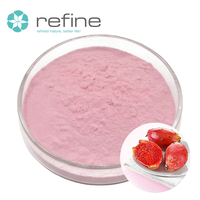 Poudre de fruit de cactus soluble dans l'eau, 100 % pure et naturelle, pour boissons, pâtisseries et aliments santé – Approvisionnement direct usine