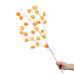 Bouquet de fleurs artificielles séchées Physalis Greenway, arrangement floral décoratif jaune automnal pour la maison et les fêtes - Product Image 5