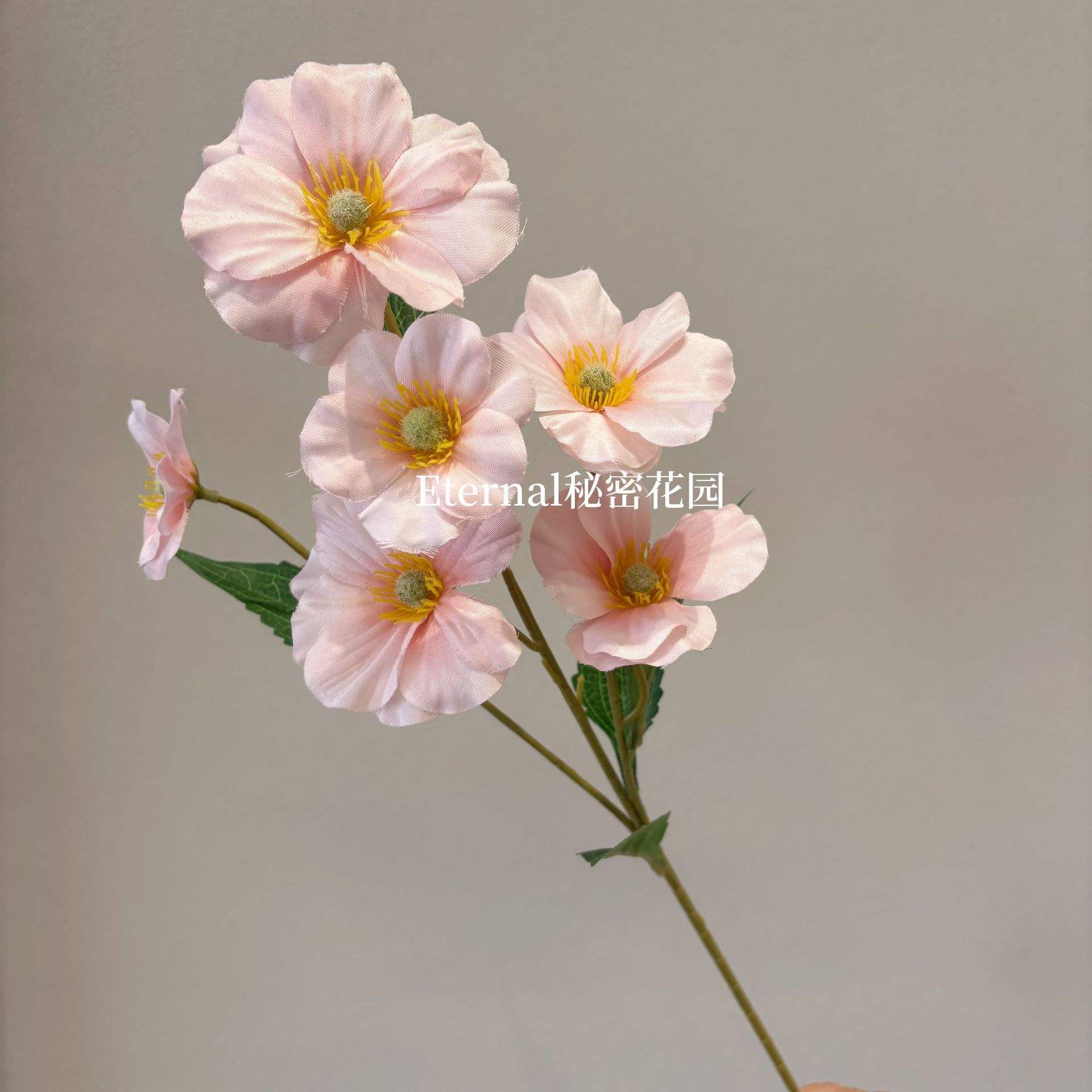 ดอกไม้ผีเสื้อ